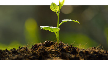 The 1st International Meeting Agriscience & Practice (ASP 2018)